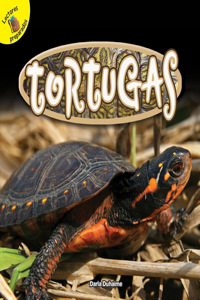 Tortugas