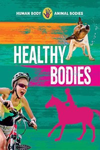 Healthy Bodies