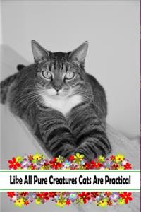 Like All Pure Creatures Cats Are Practical