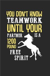 Funny Horse Notebook - Horse Rider Journal Planner