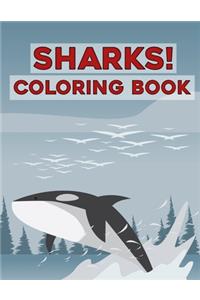 Shark! Coloring Book