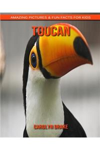 Toucan