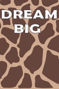 Dream Big