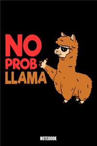 No Probllama Notebook