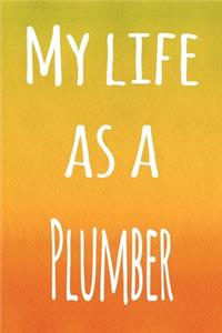 My Life as a Plummer