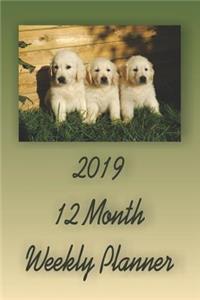 2019 12 Month Weekly Planner