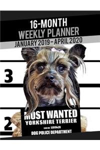 2019-2020 Weekly Planner - Most Wanted Yorkshire Terrier (Yorkie)