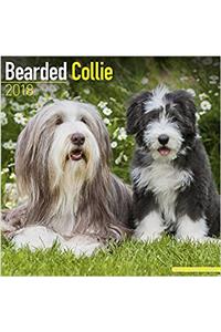 Bearded Collie Calendar 2018