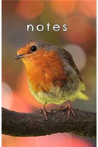 Notes