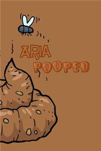 Aria