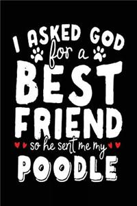 I Asked God For A Best Friend So He Sent Me My Poodle