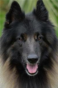 Belgian Shepherd Notebook