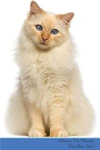 Briman Cat Presents