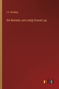 Om Remedia Juris enligt Svensk Lag