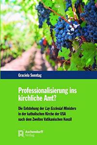 Professionalisierung Ins Kirchliche Amt?
