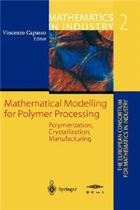 Mathematical Modelling for Polymer Processing