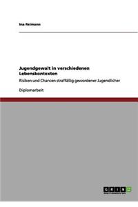 Jugendgewalt in verschiedenen Lebenskontexten