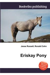 Eriskay Pony