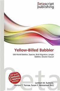 Yellow-Billed Babbler