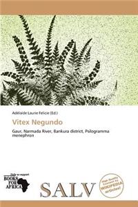 Vitex Negundo