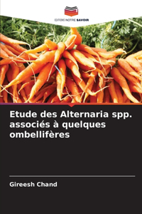 Etude des Alternaria spp. associés à quelques ombellifères