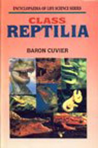 Class Reptilia