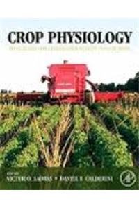 Crop Physiology: Applications For Genetic Improvement And Agronomy