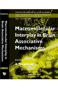 Macromolecular Interplay in Brain Associative Mechanisms