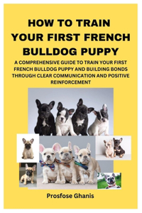 How to Train Your First French Bulldog Puppy