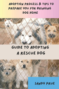 Guide to Adopting a Rescue Dog