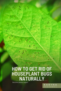 How to Get Rid of Houseplant Bugs Naturally