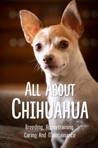 All About Chihuahua