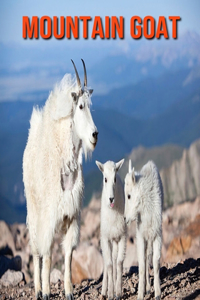 Mountain Goat: Fun Facts & Cool Pictures