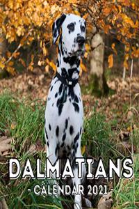 Dalmatians