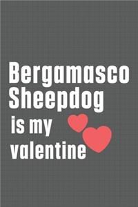 Bergamasco Sheepdog is my valentine