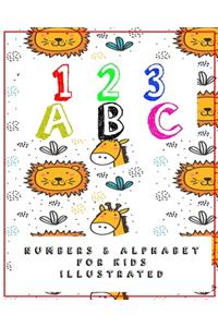 123 ABC Numbers & Alphabet for kids Illustrated