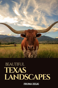 Beautiful Texas Landscapes