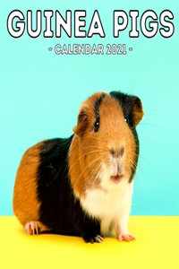 Guinea Pigs Calendar 2021