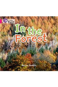 In the Forest Workbook