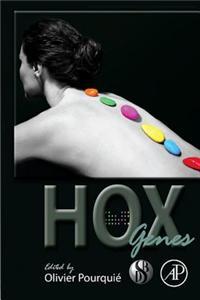 Hox Genes
