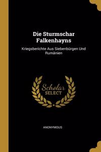 Die Sturmschar Falkenhayns