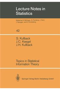 Topics in Statistical Information Theory