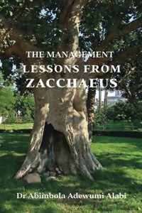 The Management Lessons from Zacchaeus