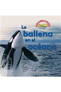 Ballena En El Océano (the Whale in the Water)