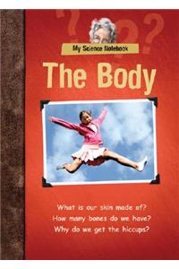 Body