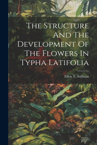 Structure And The Development Of The Flowers In Typha Latifolia