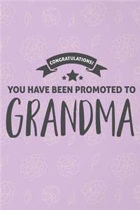 Congratulations You Have Been Promoted to Grandma