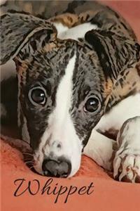 Whippet Dog Blank Lined Journal Notebook