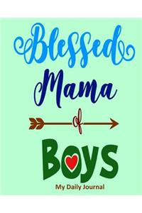 Blessed Mama of Boys-My Daily Journal