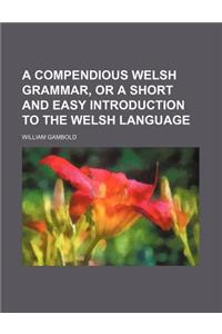 A Compendious Welsh Grammar, or a Short and Easy Introduction to the Welsh Language